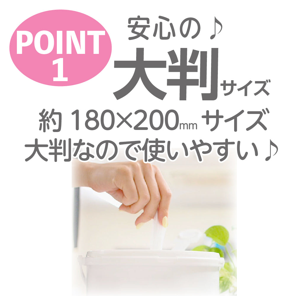 アウトドア専用 除菌バケツウェット 300枚入