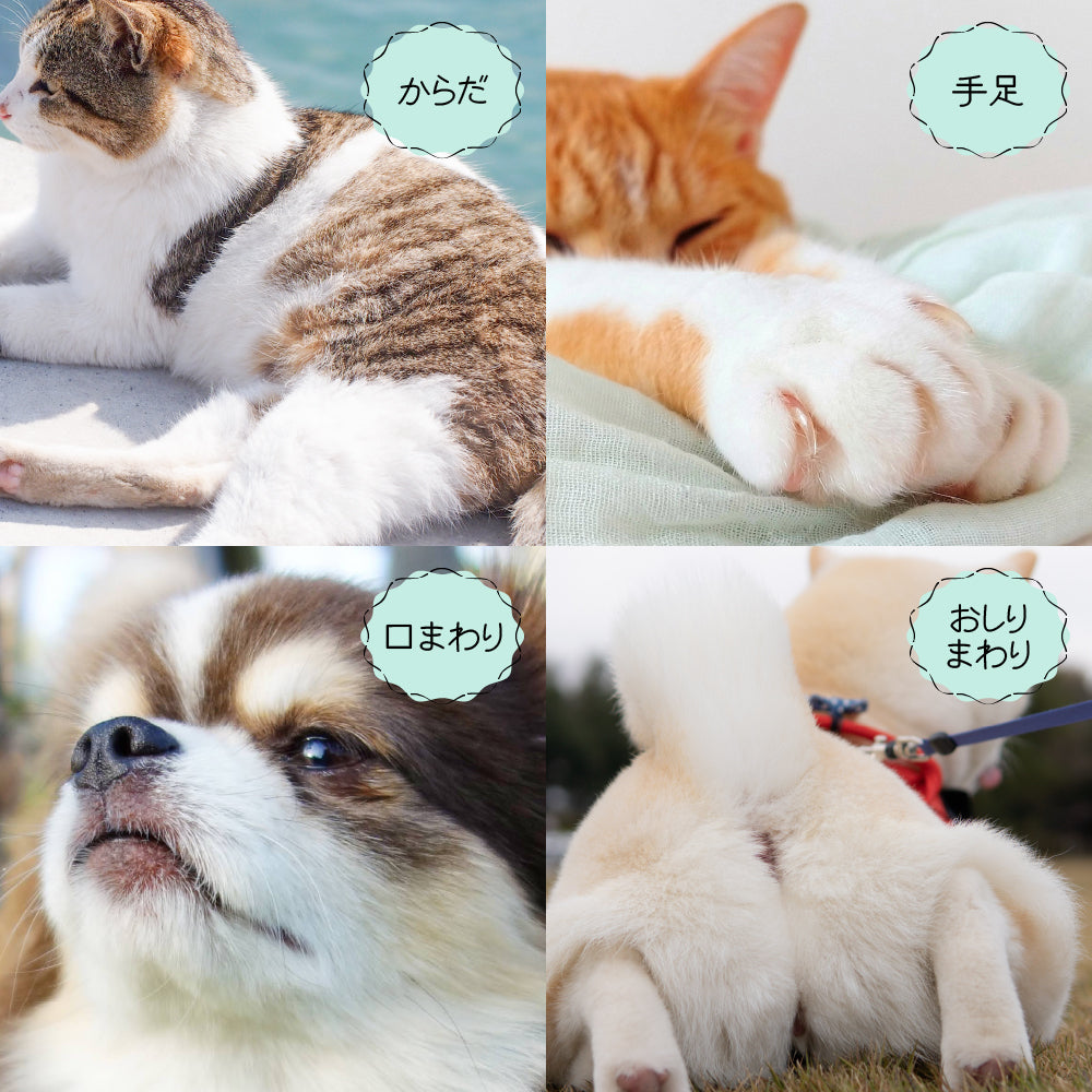 ミャオワン シャンプータオル 300 せっけんの香り 300枚入