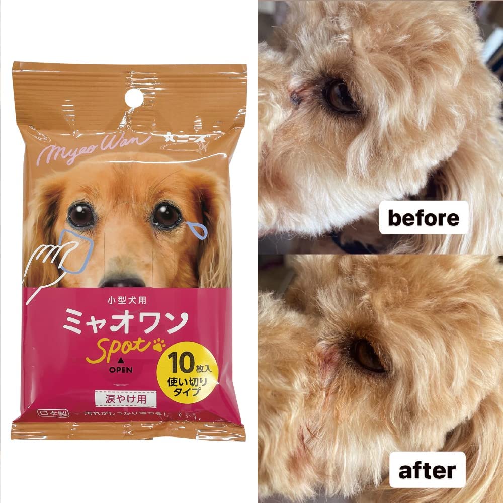 小型犬用 ミャオワン Spot 4種セット