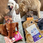 小型犬用 ミャオワン Spot 4種セット